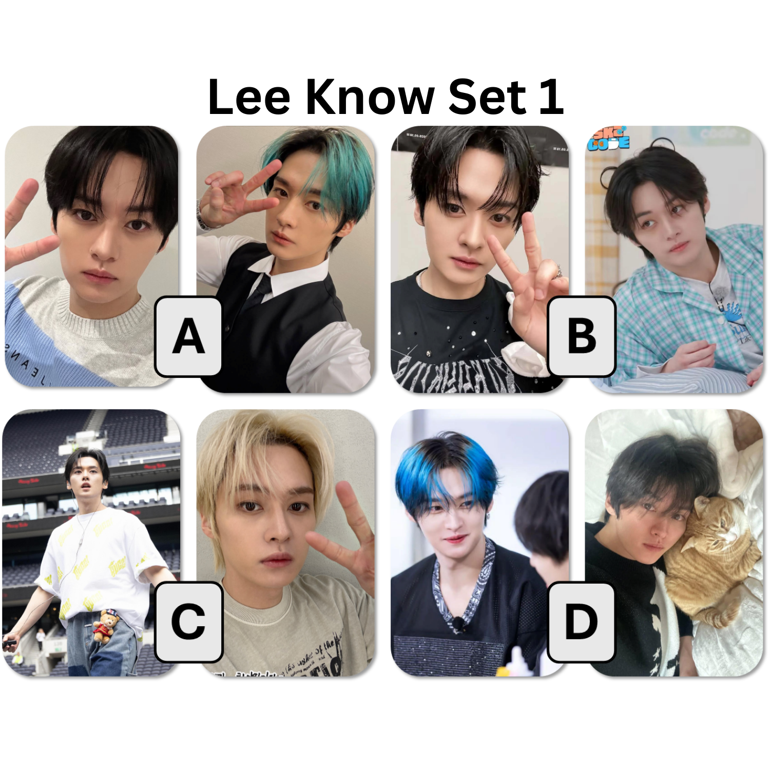 Stray Kids Member LOMO PCs (2-packs) - new release